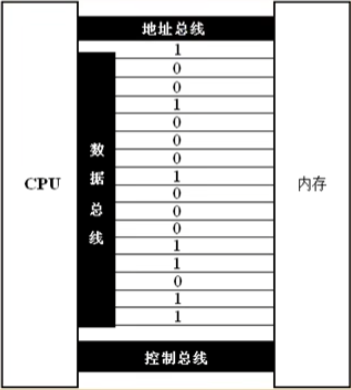 asm-image3