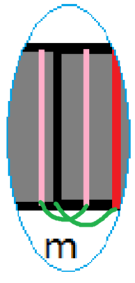 image-b9fd2a64