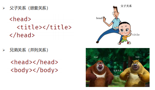 web-image5